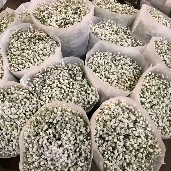 3000 Premium Artificial Roses – 100 Bundles of Realistic Silk Touch Flowers for Weddings, Events & Home Decor