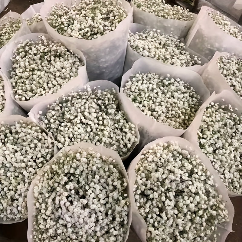 3000 Premium Artificial Roses – 100 Bundles of Realistic Silk Touch Flowers for Weddings, Events & Home Decor